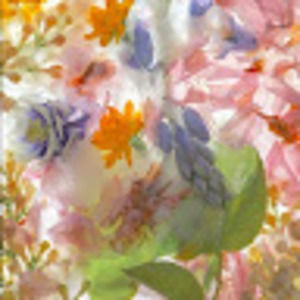 Meet your Posher, Kylie